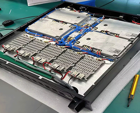 湖北枣阳:金叶飘香 滴灌赋能