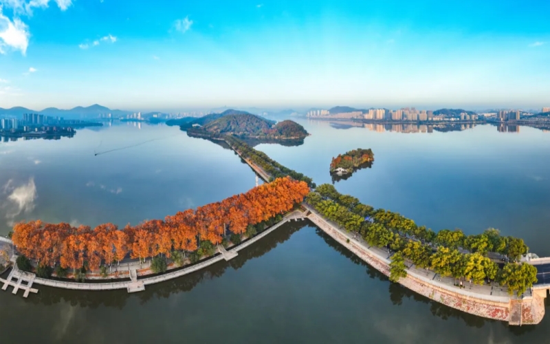 黄石杭州路。何戈摄