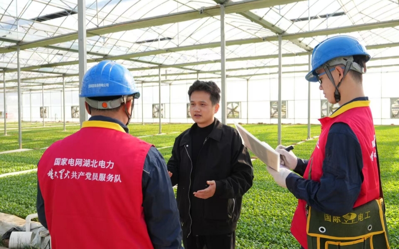 国网湖北电力工作人员上门服务。