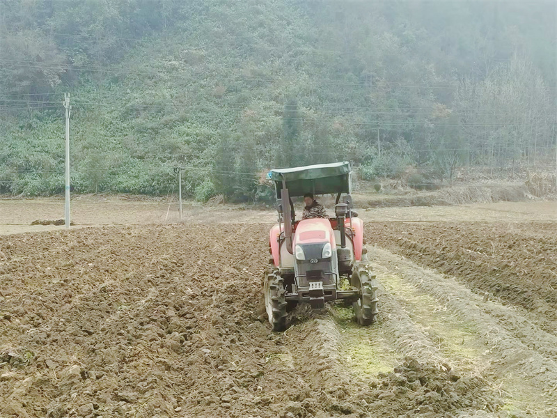 深翻作业的种植户