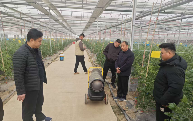 武汉市农业农村局开展设施大棚寒潮防护督导。