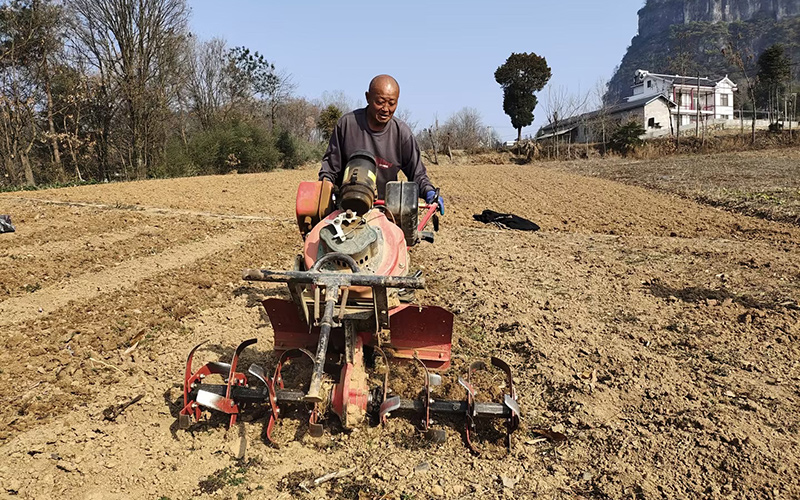 烟农及时进行烟田深翻、清残、晒垡工作。