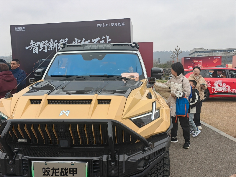 小朋友也争相体验东风汽车。人民网记者 郭婷婷摄