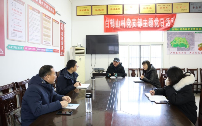 调研讨论“光伏发电”项目。