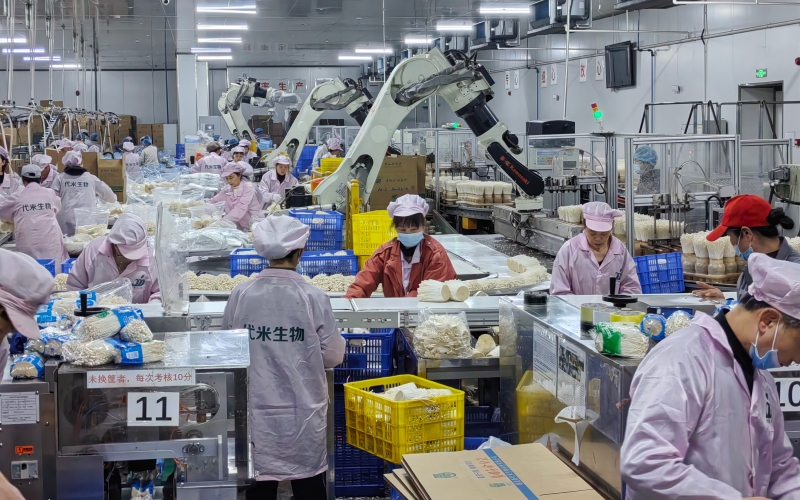 新代米生物科技有限公司工作现场。