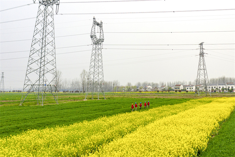 国网湖北电力员工开展节后特巡，保障辖区电网安全可靠运行。郭峰摄