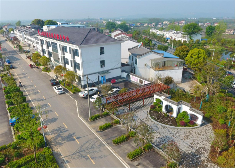 乡村振兴战略推动下焕然一新的木桥村