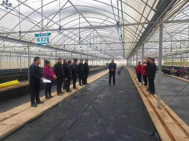 技术员讲解地布湿润育苗技术流程。夏长学摄