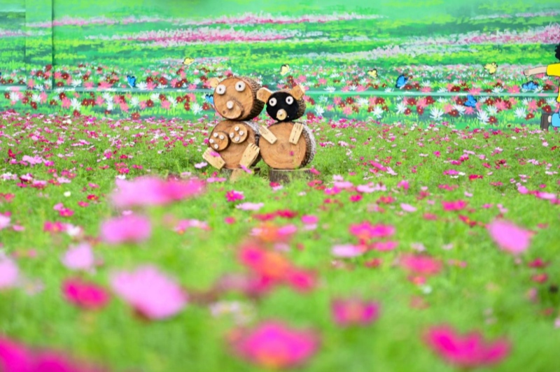 都市华府口袋公园。潜江市委宣传部供图